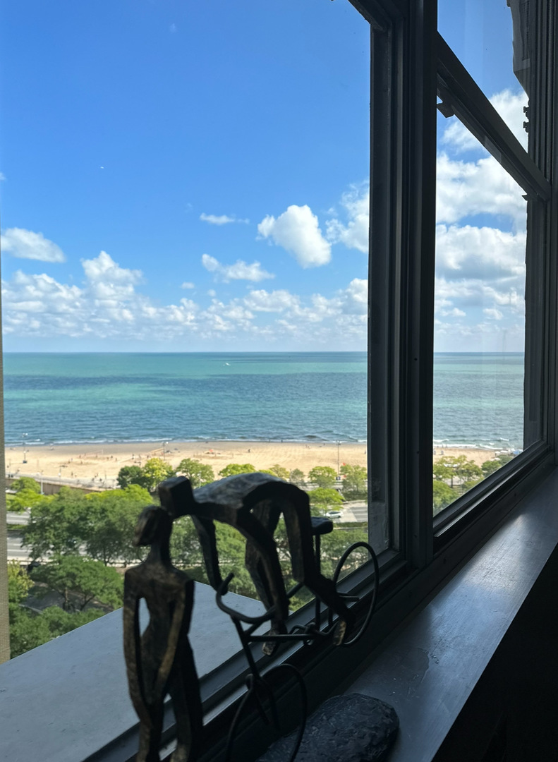1000 N Lake Shore Drive Unit: 1604