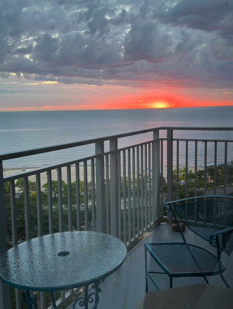 1000 N Lake Shore Drive Unit: 1604
