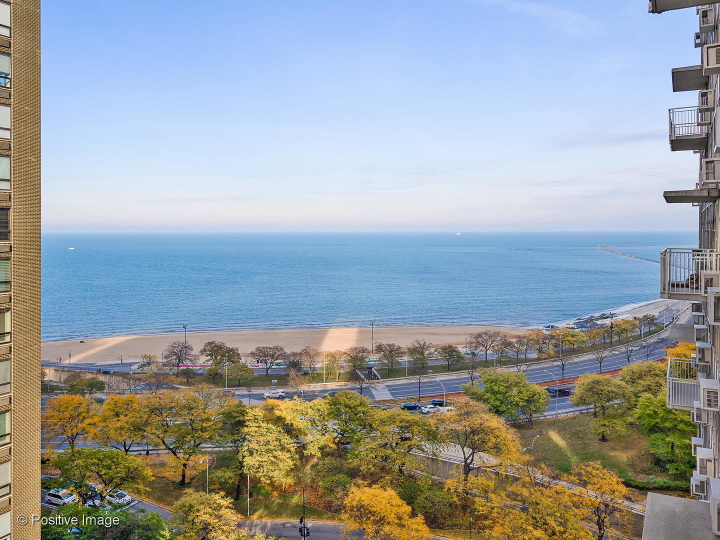 1000 N Lake Shore Drive Unit: 1604