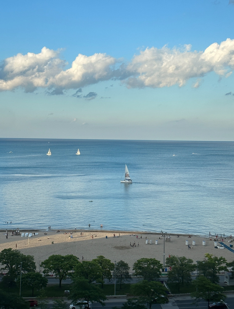 1000 N Lake Shore Drive Unit: 1604