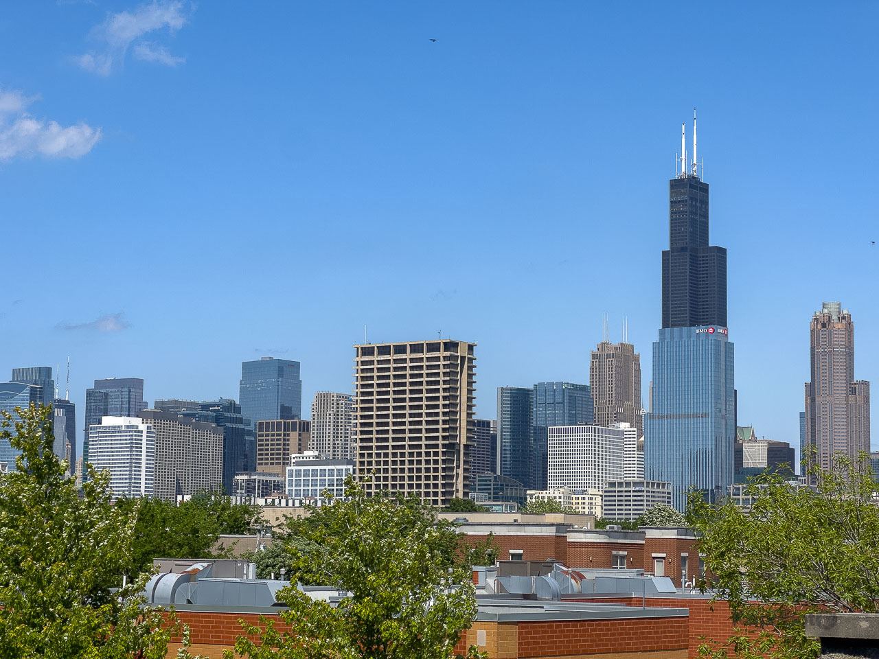 1302 W Fillmore Street Unit: 3