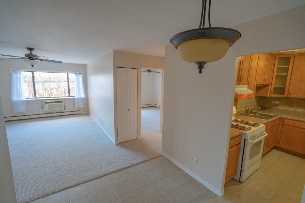 3620 N Pine Grove Avenue Unit: 501