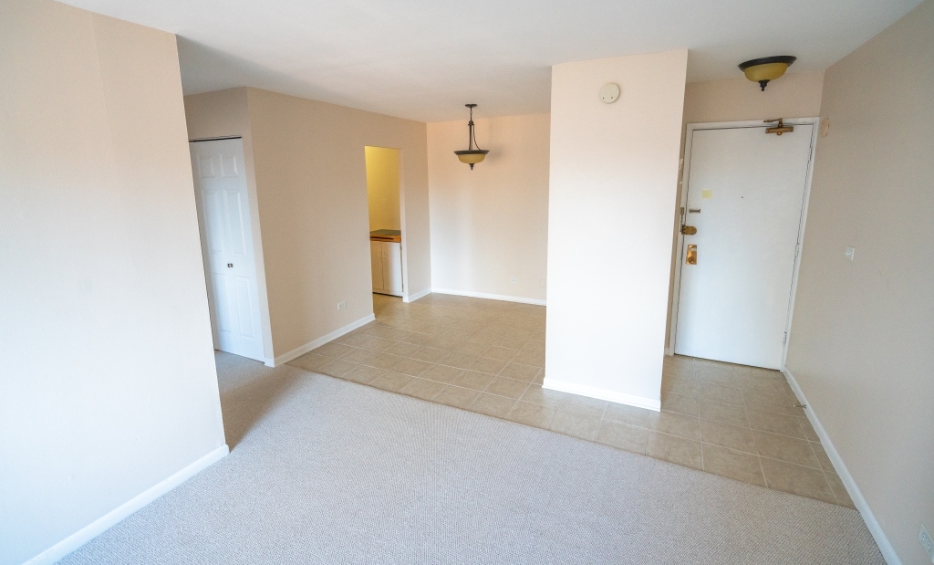 3620 N Pine Grove Avenue Unit: 501