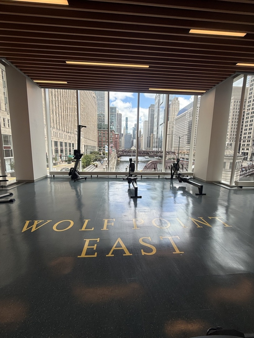 313 W Wolf Point Plaza Unit: 1607