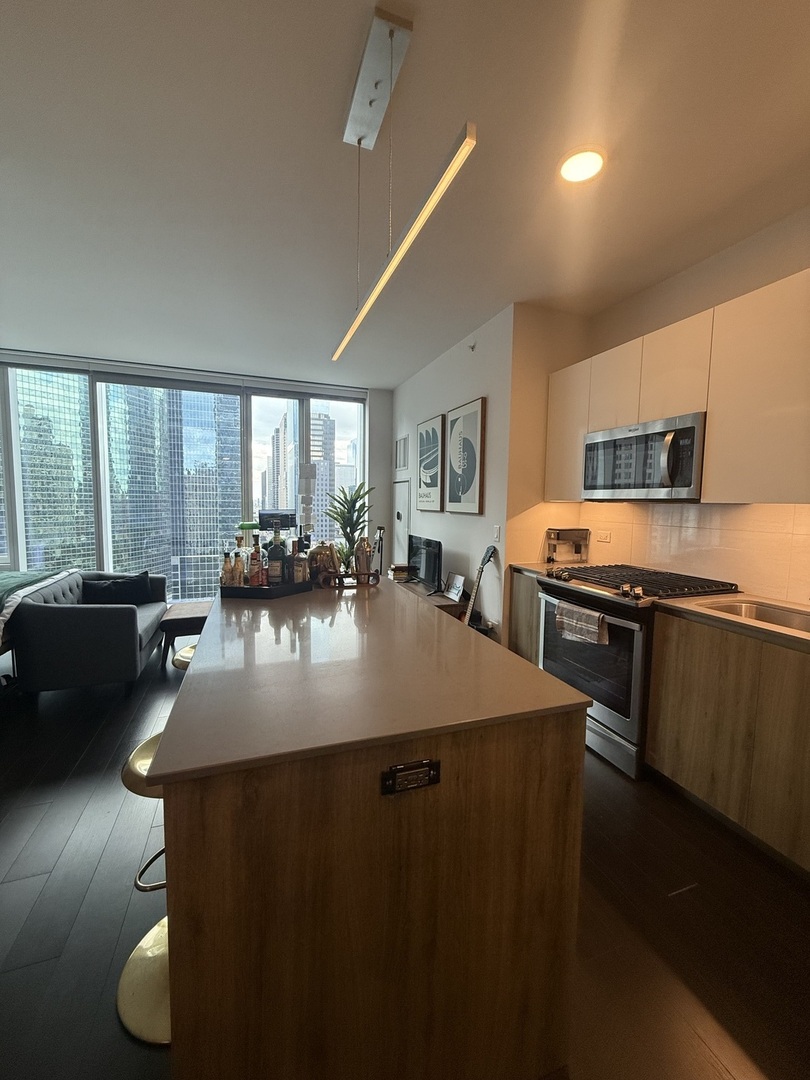 313 W Wolf Point Plaza Unit: 1607