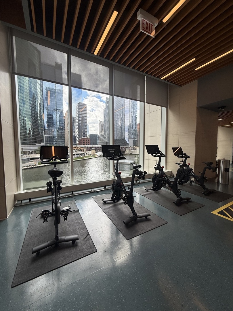 313 W Wolf Point Plaza Unit: 1607