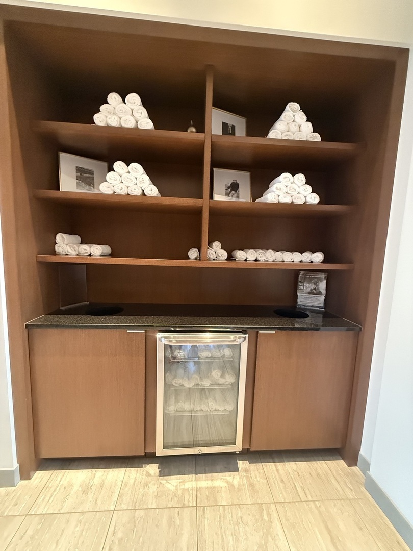 313 W Wolf Point Plaza Unit: 1607