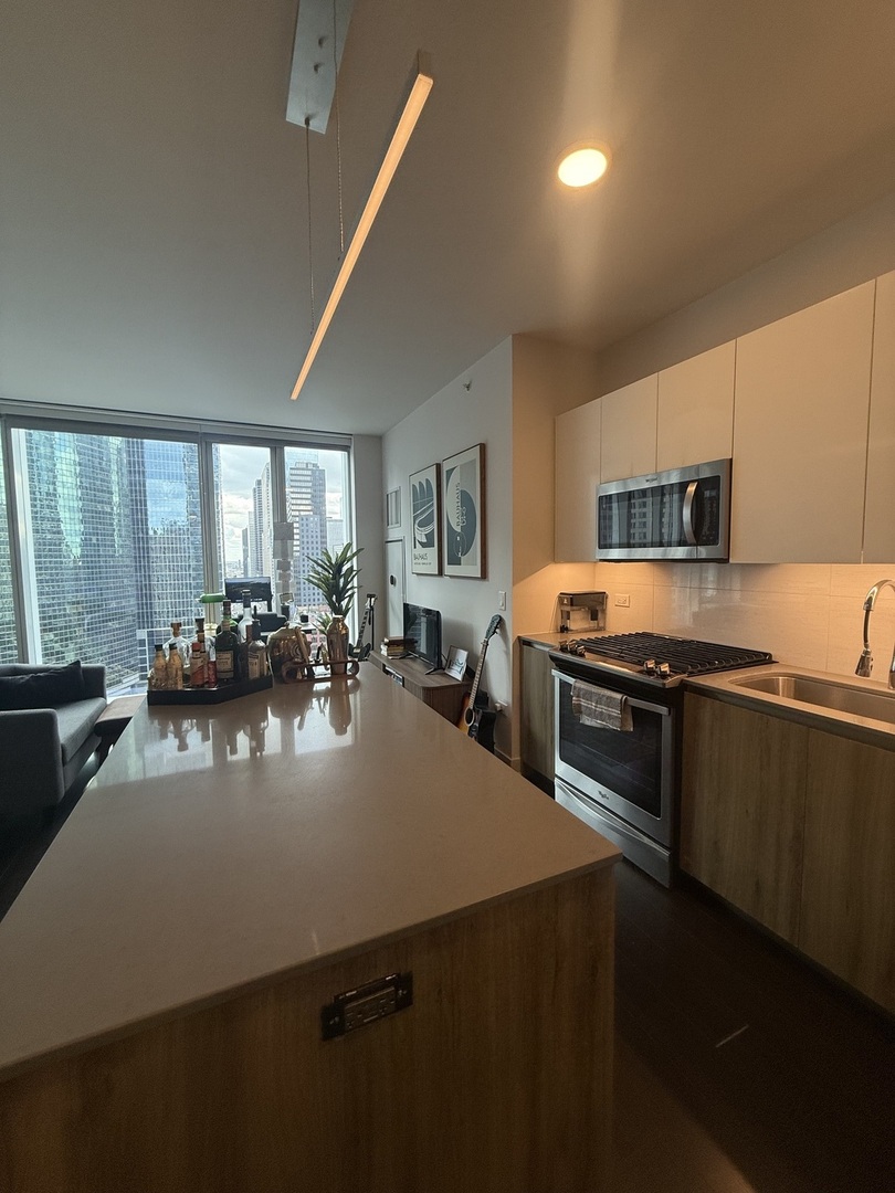 313 W Wolf Point Plaza Unit: 1607