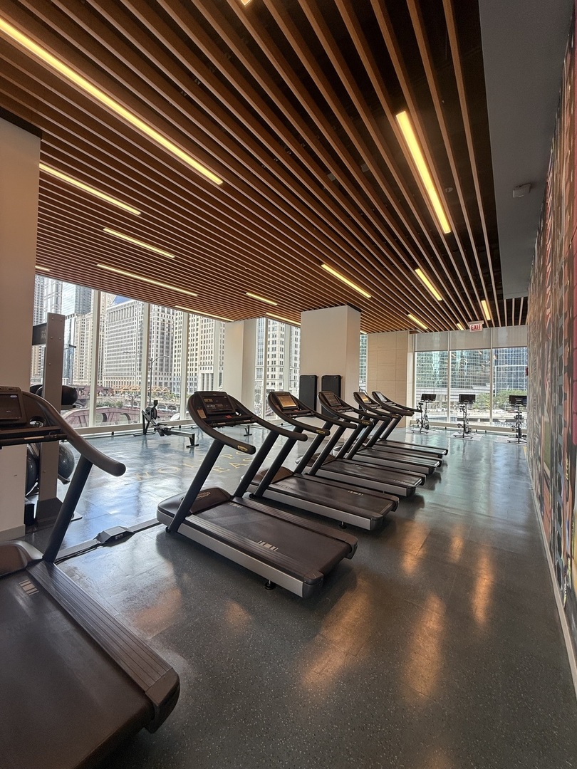 313 W Wolf Point Plaza Unit: 1607