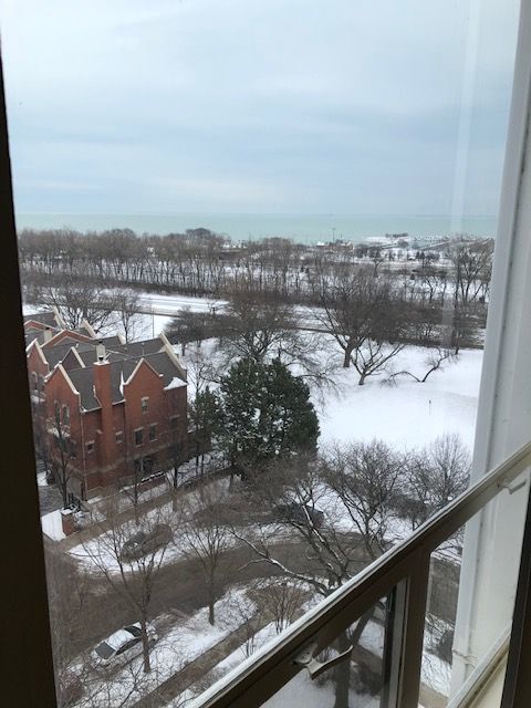 601 E 32nd Street Unit: 1008