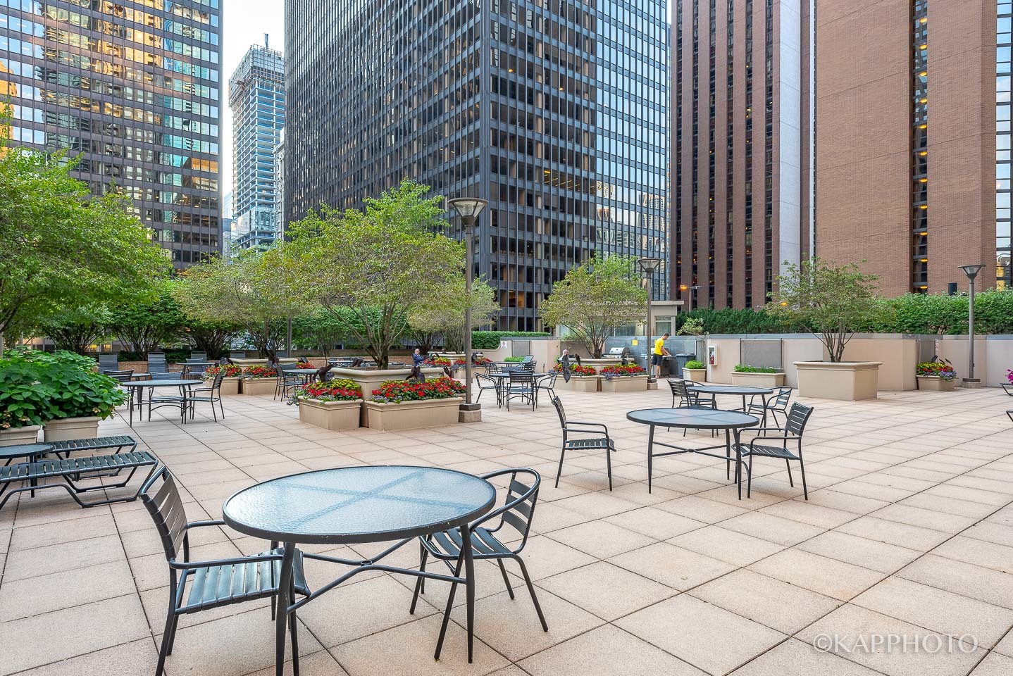 222 N Columbus Drive Unit: 2808