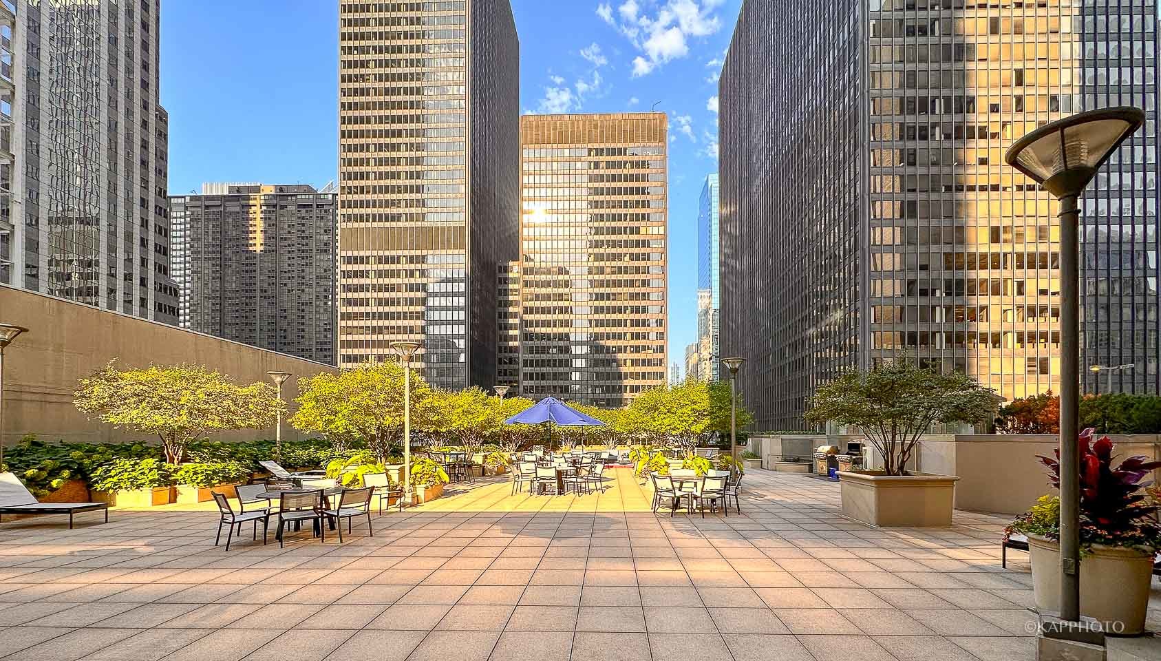 222 N Columbus Drive Unit: 2808