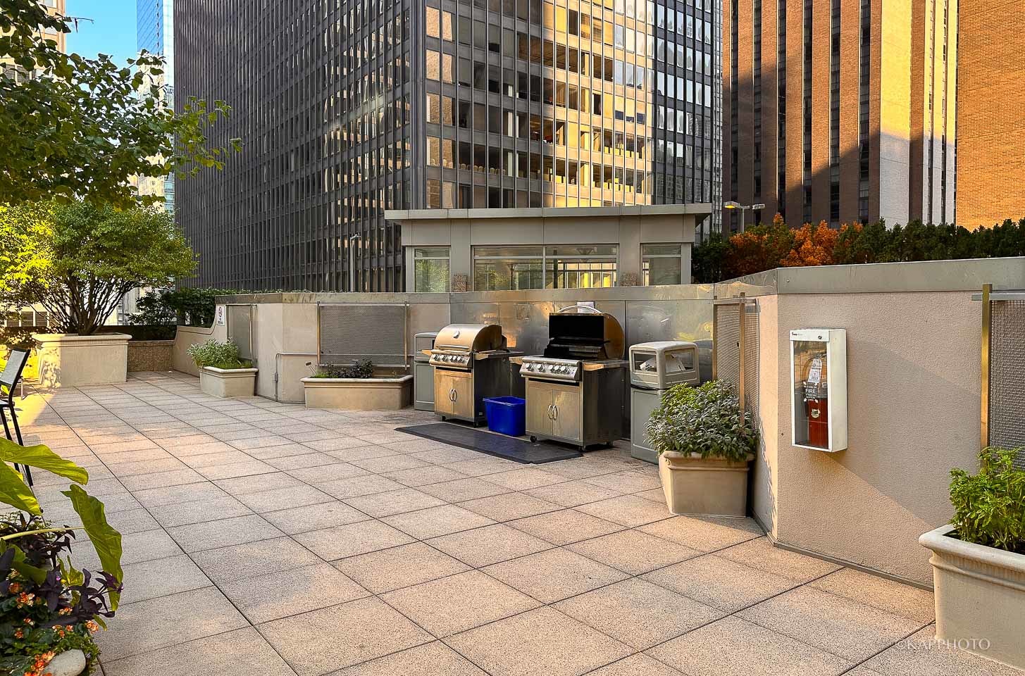 222 N Columbus Drive Unit: 2808