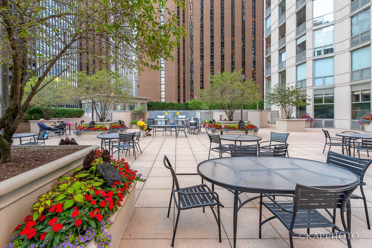 222 N Columbus Drive Unit: 2808