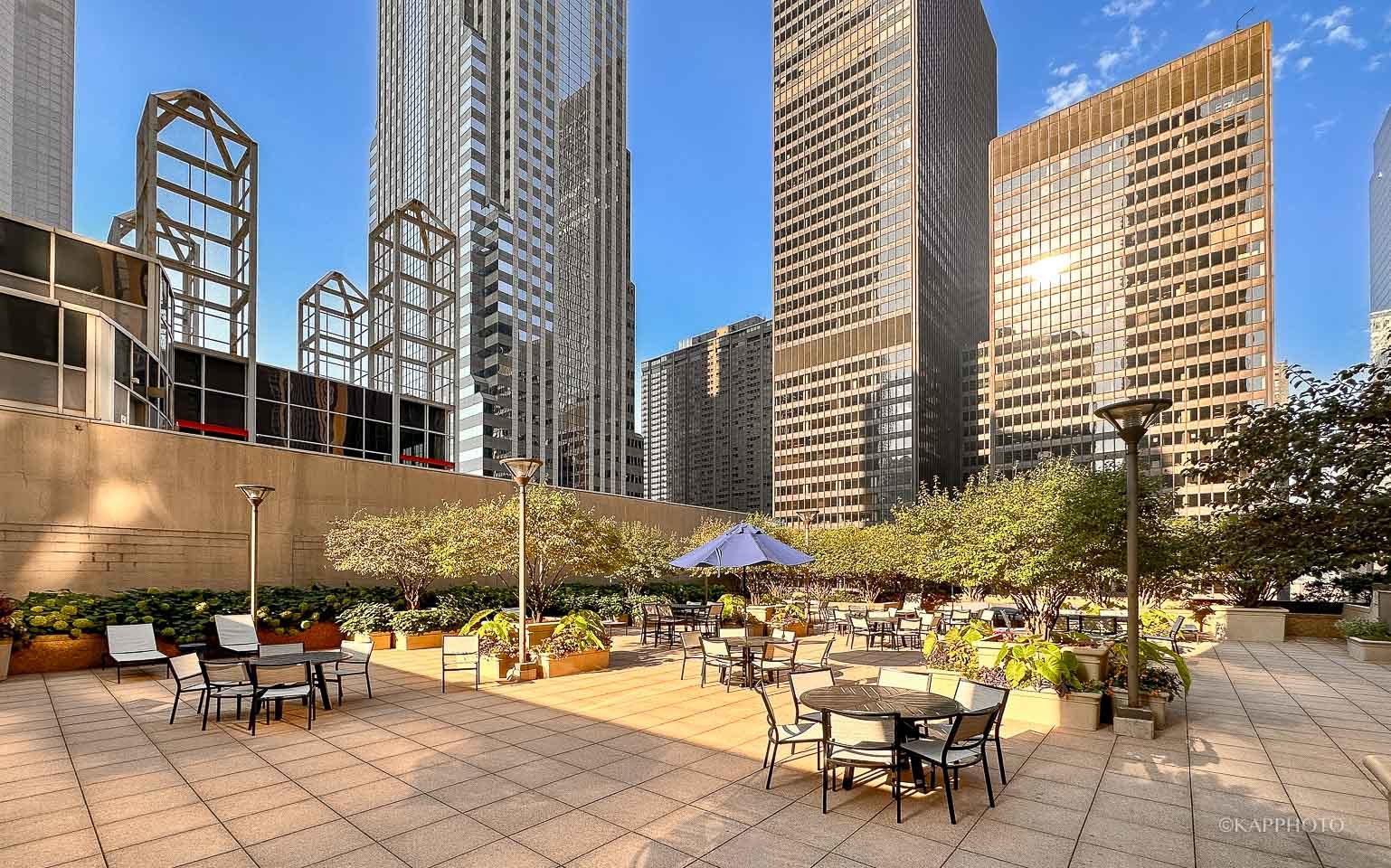 222 N Columbus Drive Unit: 2808