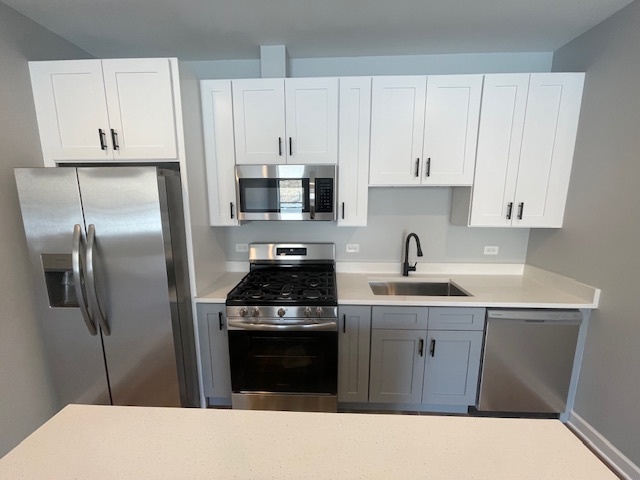 1719 W CHICAGO Avenue Unit: 4