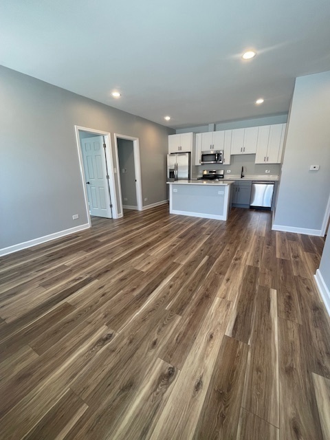 1719 W CHICAGO Avenue Unit: 4