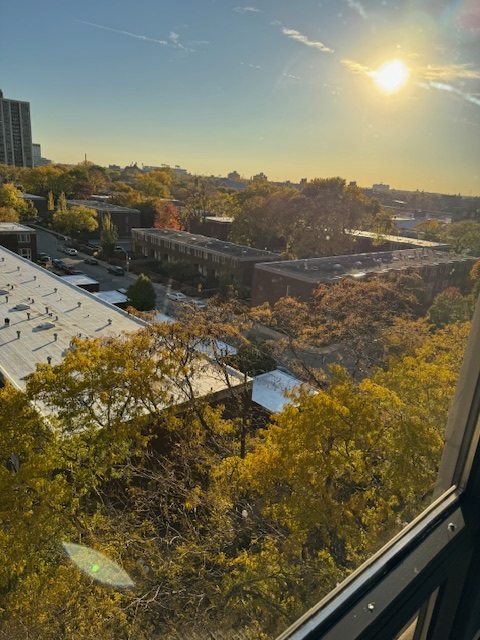 2605 S Indiana Avenue Unit: 708