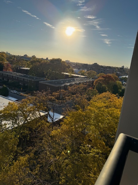 2605 S Indiana Avenue Unit: 708