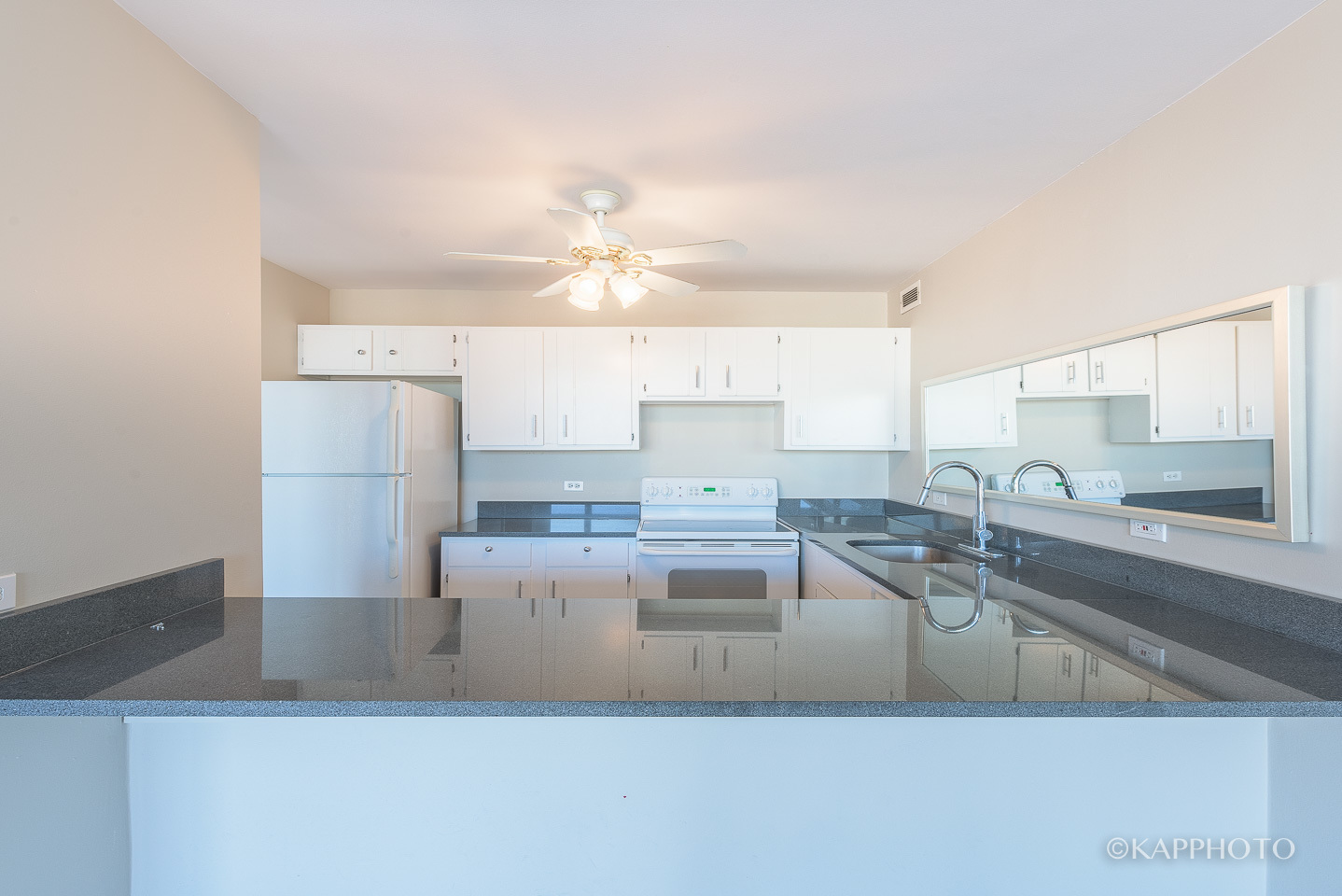 1540 N La Salle Drive Unit: 706