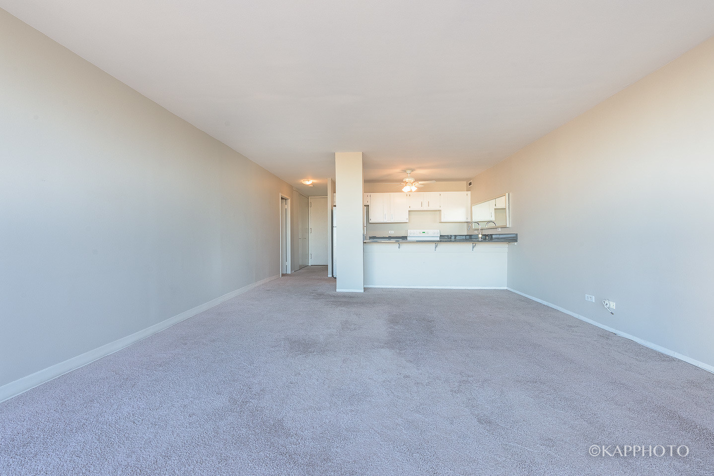 1540 N La Salle Drive Unit: 706