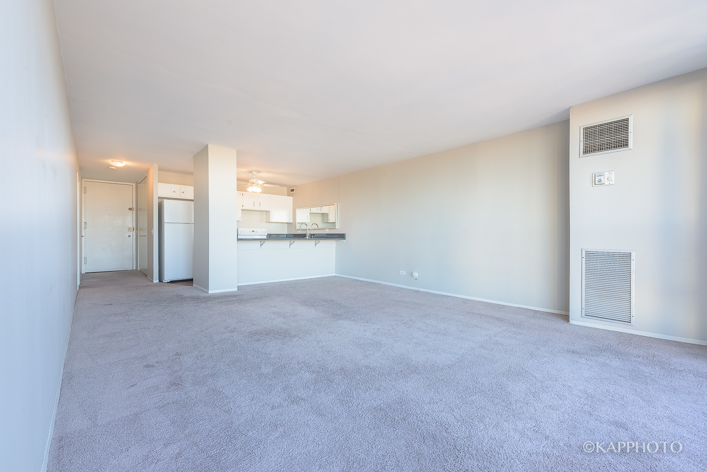 1540 N La Salle Drive Unit: 706