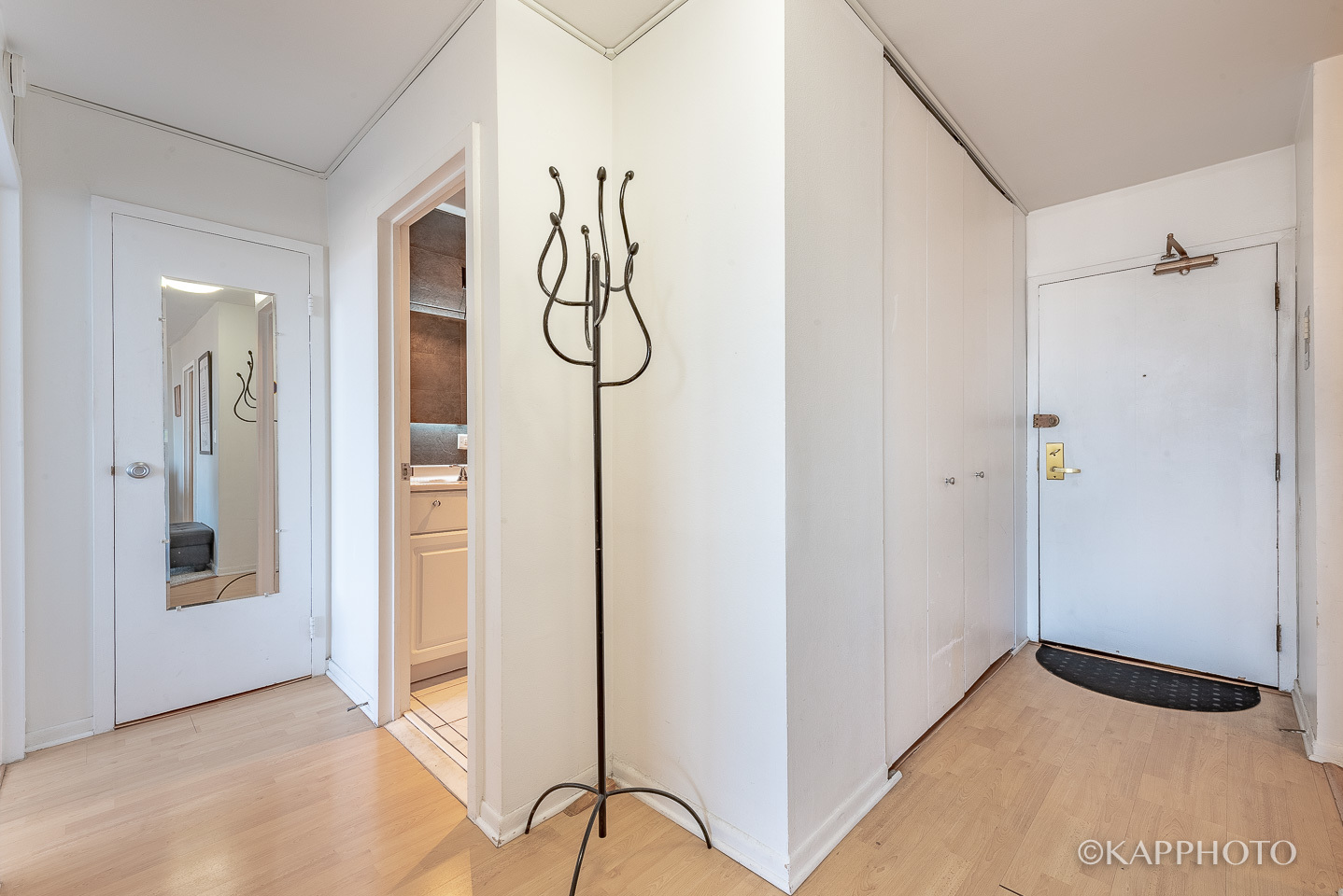 3930 N Pine Grove Avenue Unit: 2005