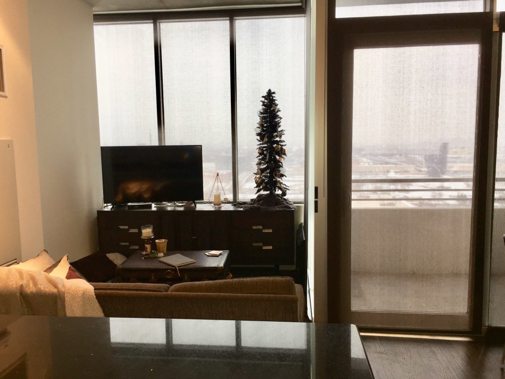 1720 S Michigan Avenue Unit: 2316