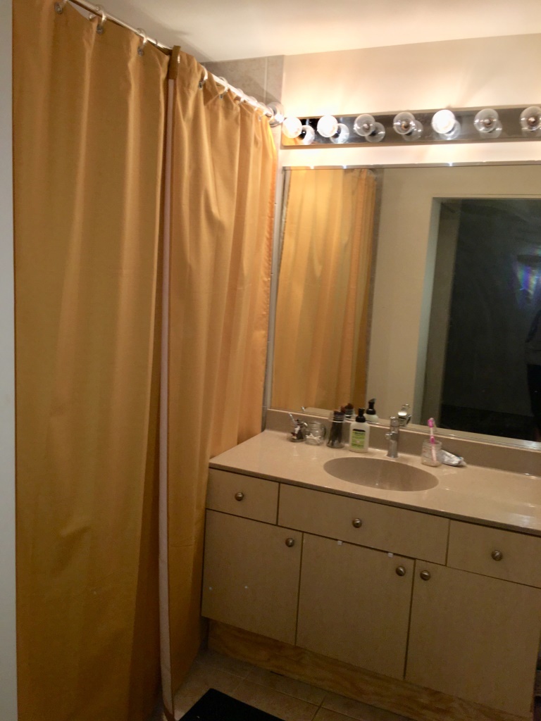 1720 S Michigan Avenue Unit: 2316