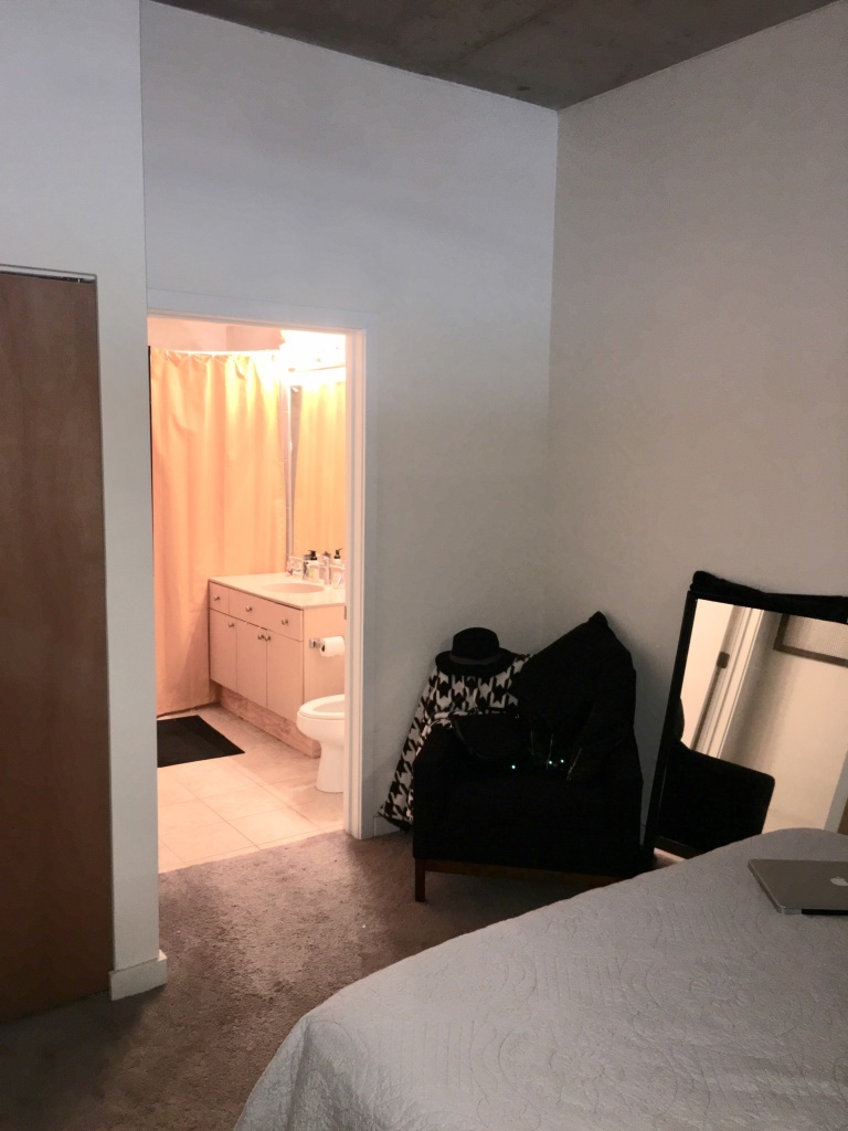 1720 S Michigan Avenue Unit: 2316