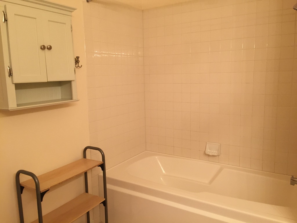 2935 N Clybourn Avenue Unit: 301