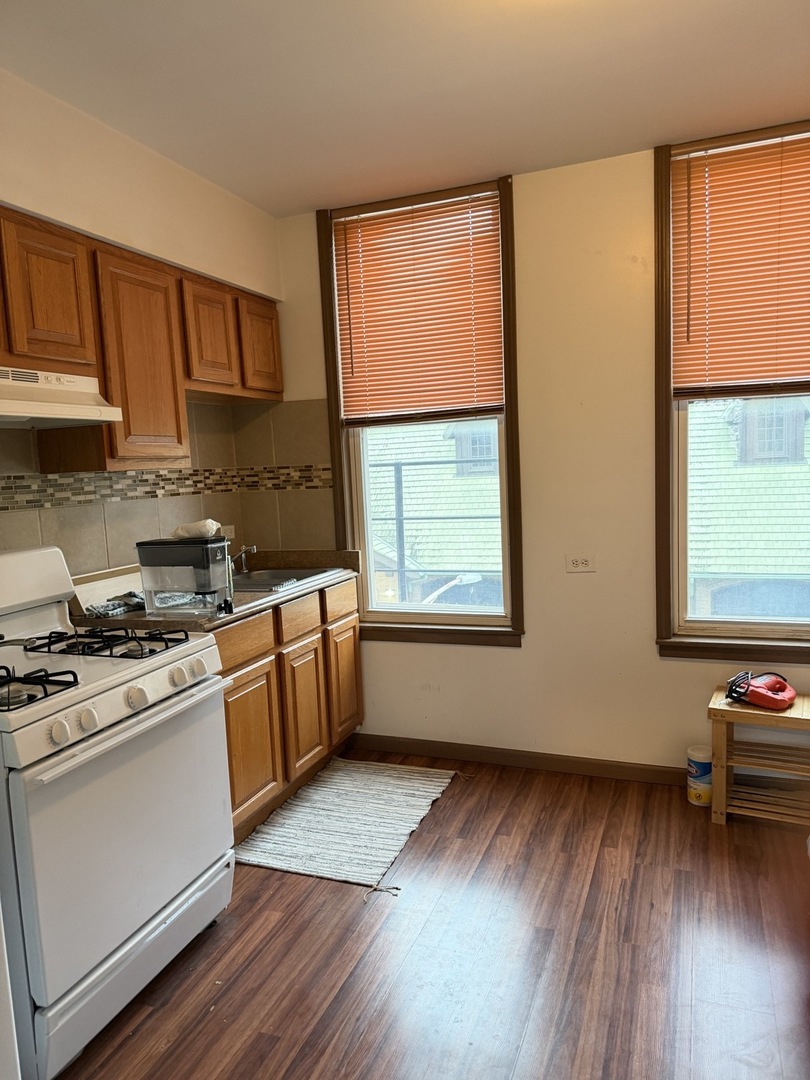 1410 W Blackhawk Street Unit: 3W