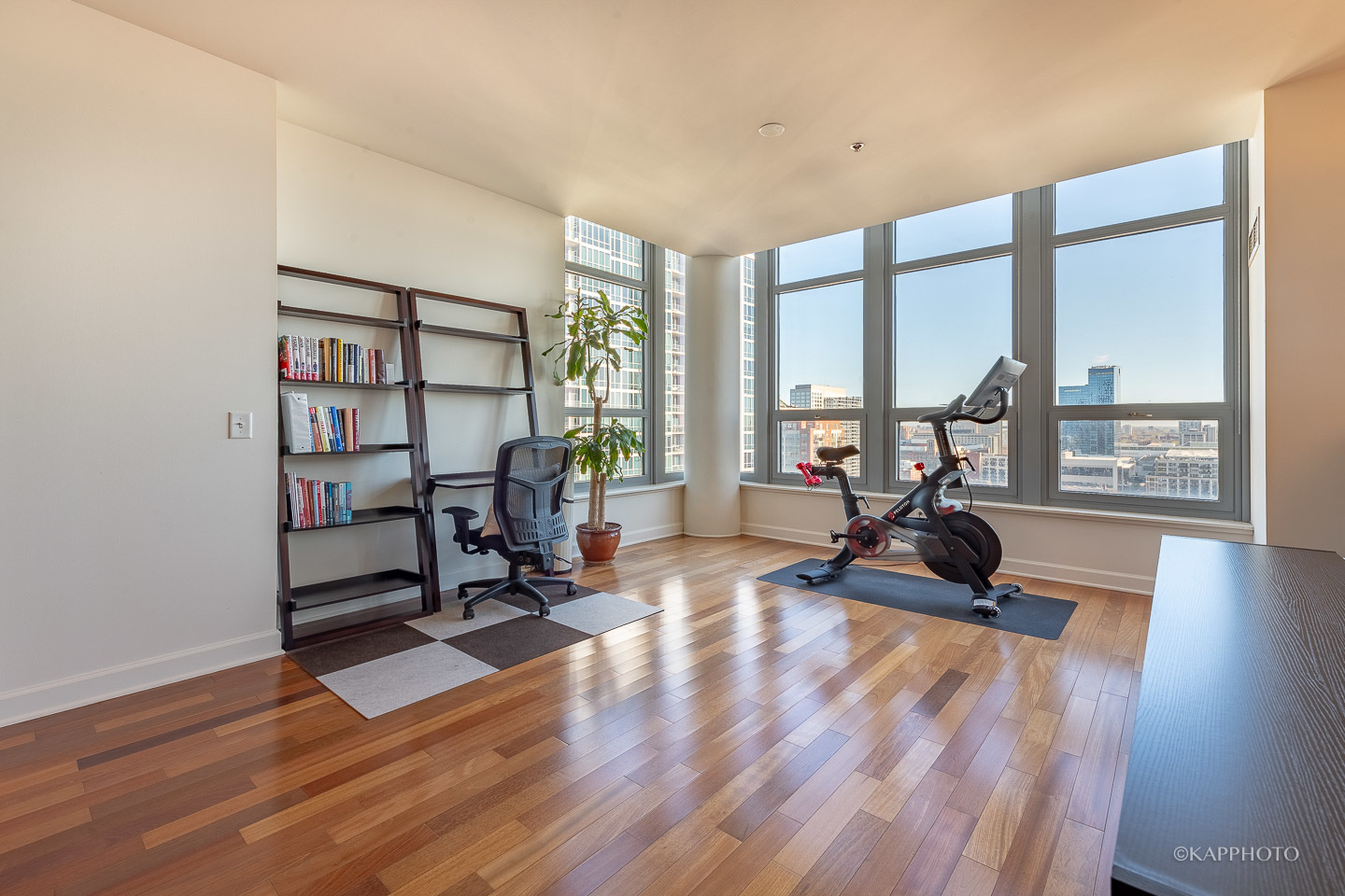 1600 S Prairie Avenue Unit: 2309