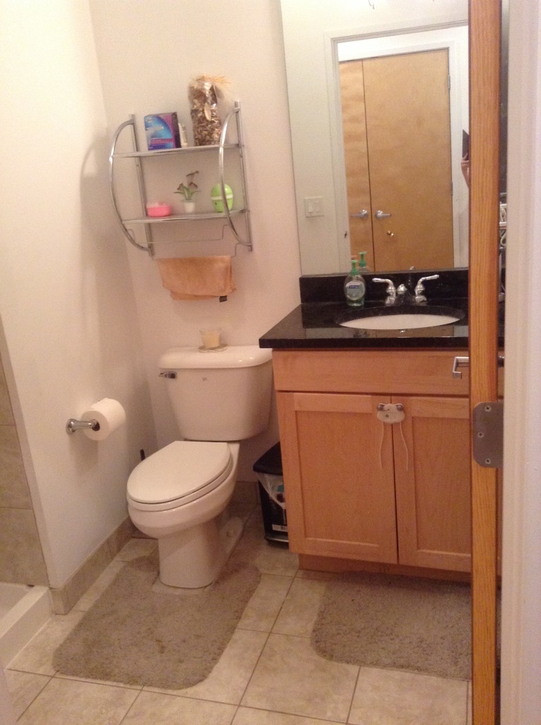 2224 W Madison Street Unit: 201