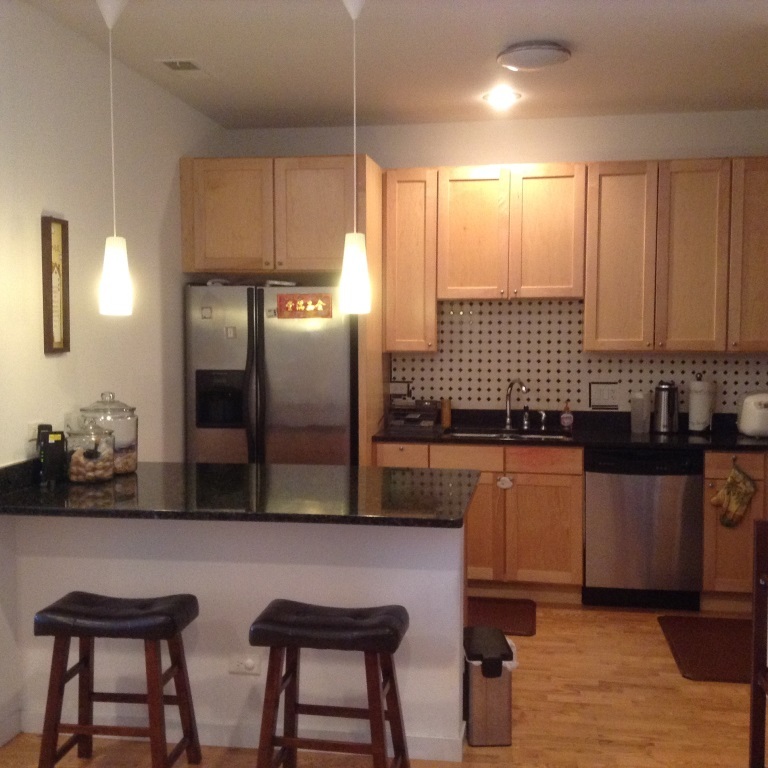 2224 W Madison Street Unit: 201