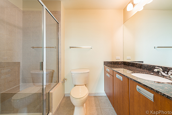 225 S Sangamon Street Unit: 411