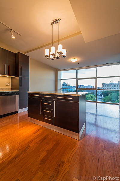 225 S Sangamon Street Unit: 411