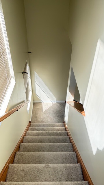 3439 W Lexington Street