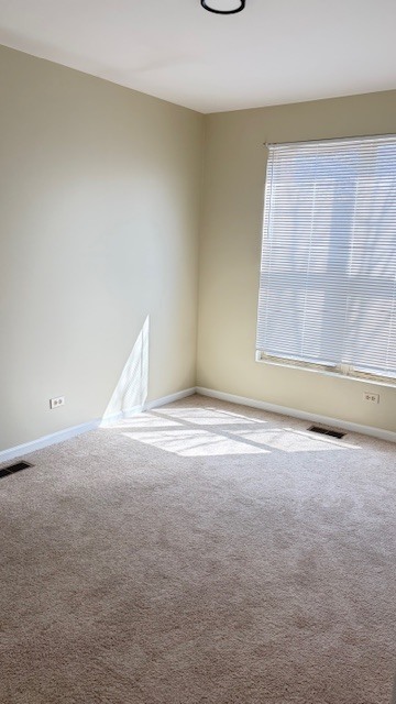 3439 W Lexington Street