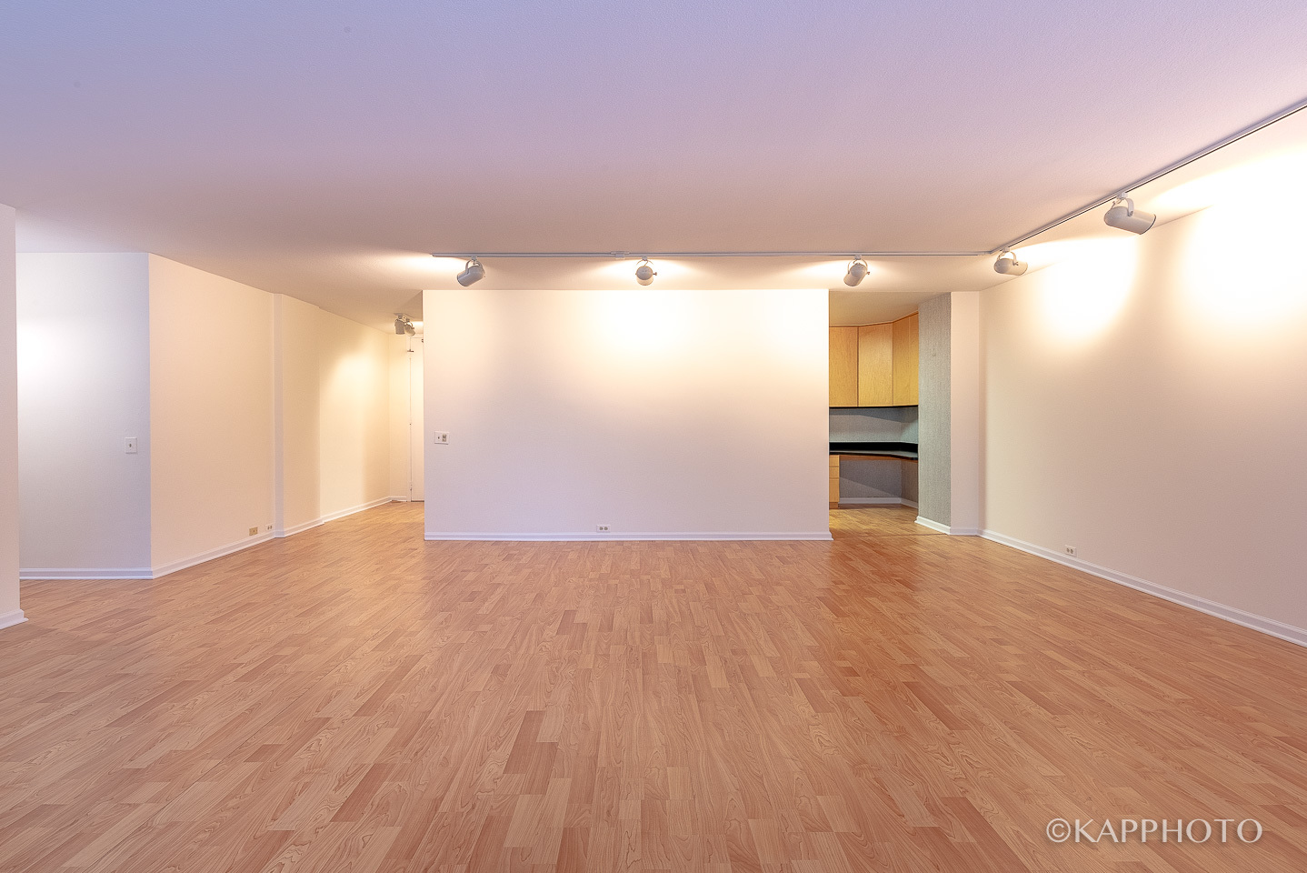 900 N Lake Shore Drive Unit: 702