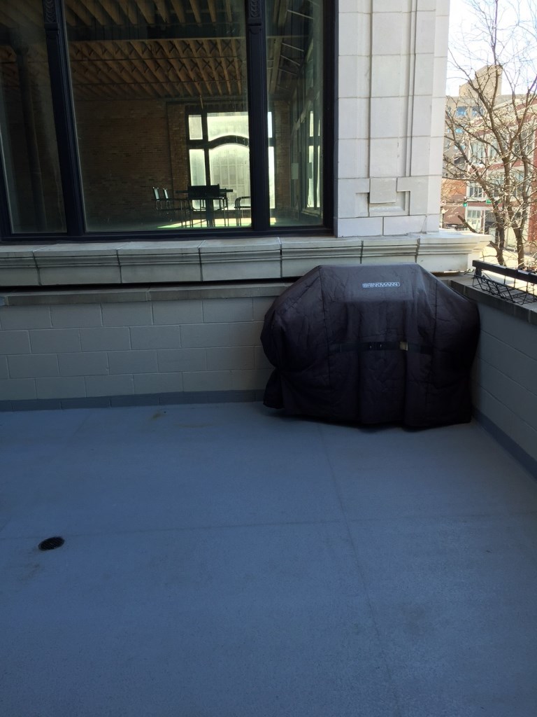 1919 S Michigan Avenue Unit: 202