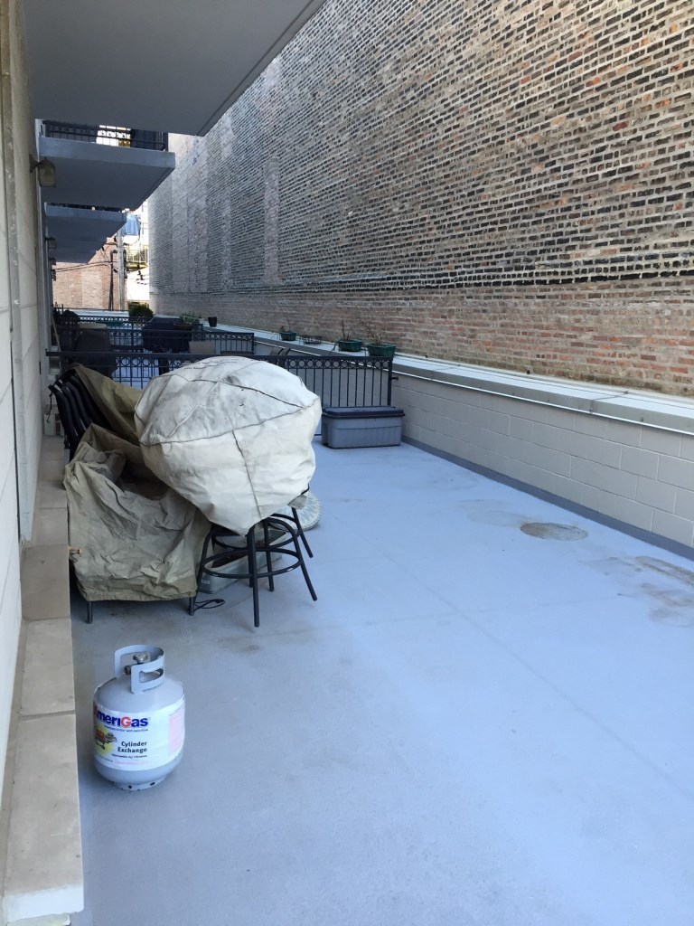 1919 S Michigan Avenue Unit: 202