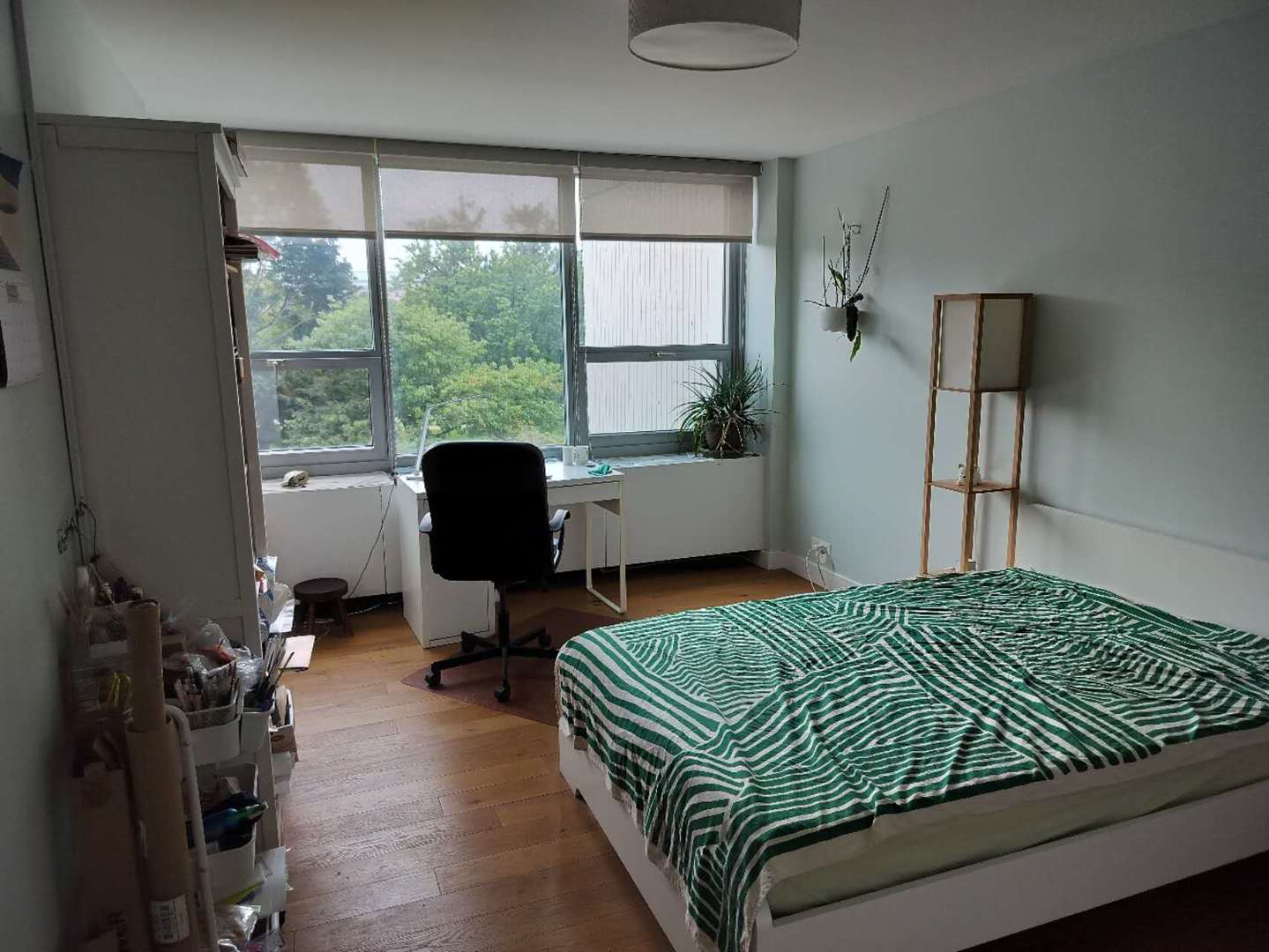 1700 E 56th Street Unit: 409