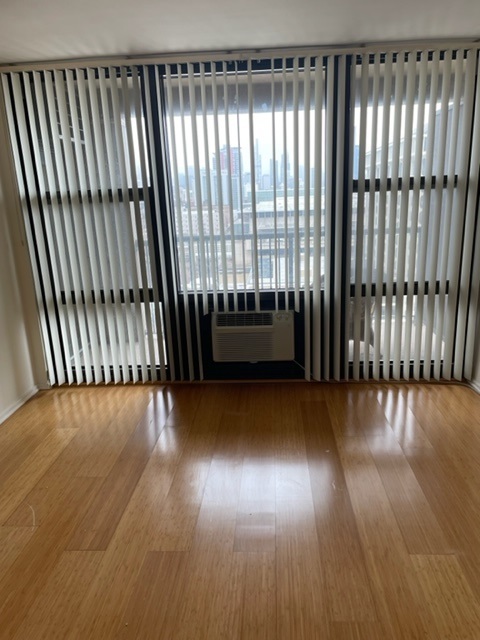 2605 S Indiana Avenue Unit: 1504