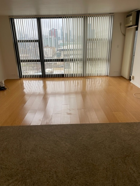 2605 S Indiana Avenue Unit: 1504
