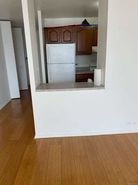 2605 S Indiana Avenue Unit: 1504