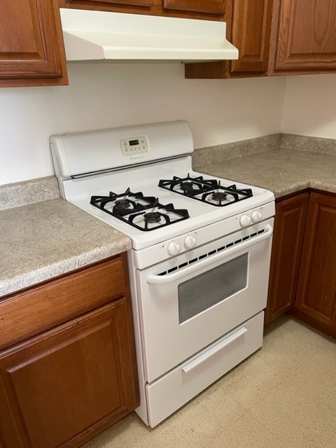 2605 S Indiana Avenue Unit: 1504