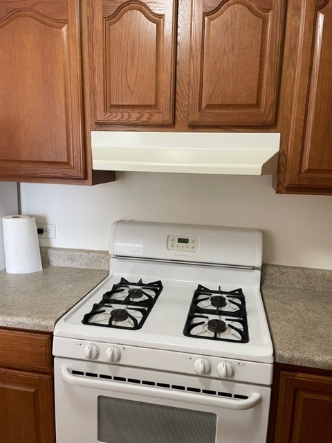 2605 S Indiana Avenue Unit: 1504