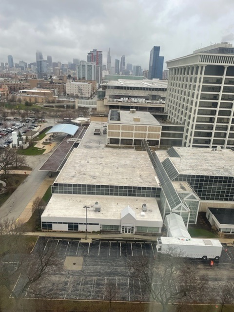 2605 S Indiana Avenue Unit: 1504