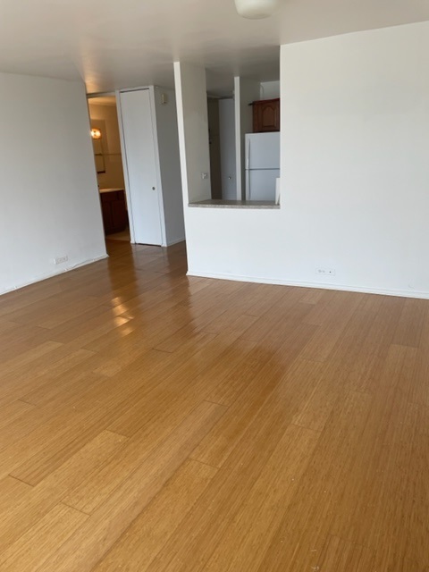 2605 S Indiana Avenue Unit: 1504